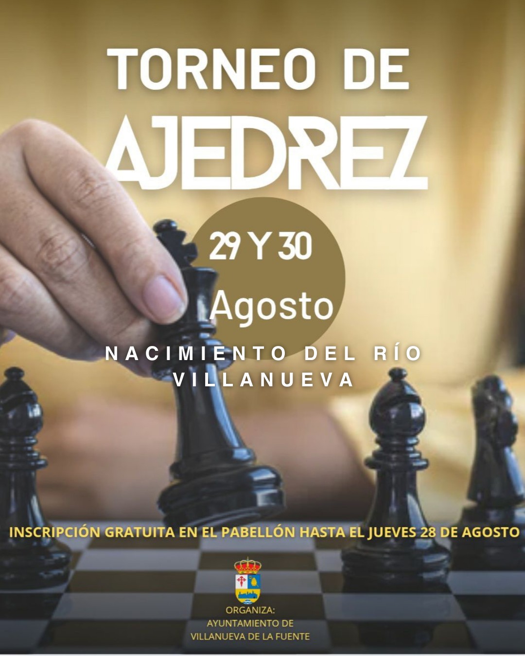Torneo de Ajedrez